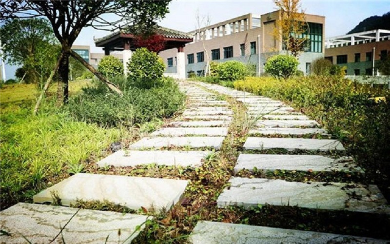 多少分可以上六盘水幼儿师范高等专科学校？六盘水幼儿师范高等专科学校2022年在广西各招生专业录取分数汇总