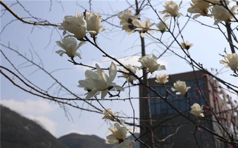 六盘水幼儿师范高等专科学校现代教育技术专业录取分数线【广西高考理科】