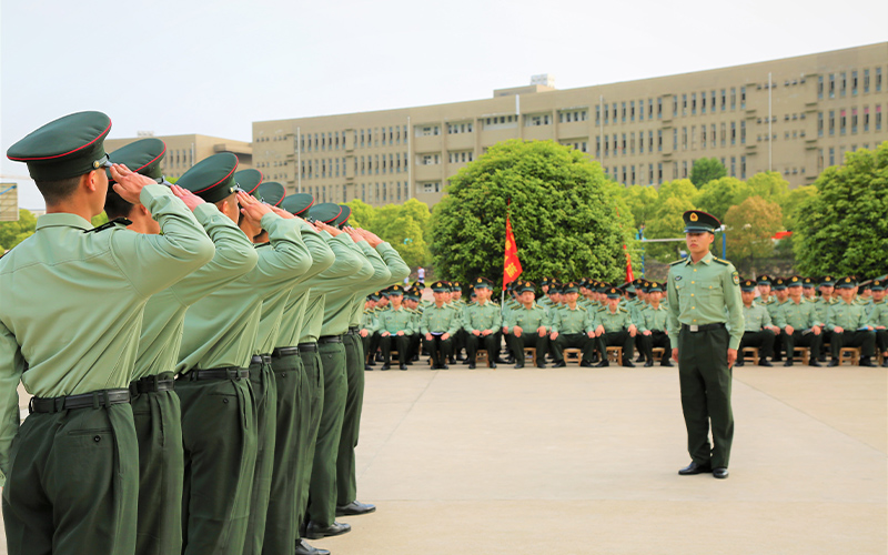 2023年武昌职业学院在新疆招生专业及招生人数汇总