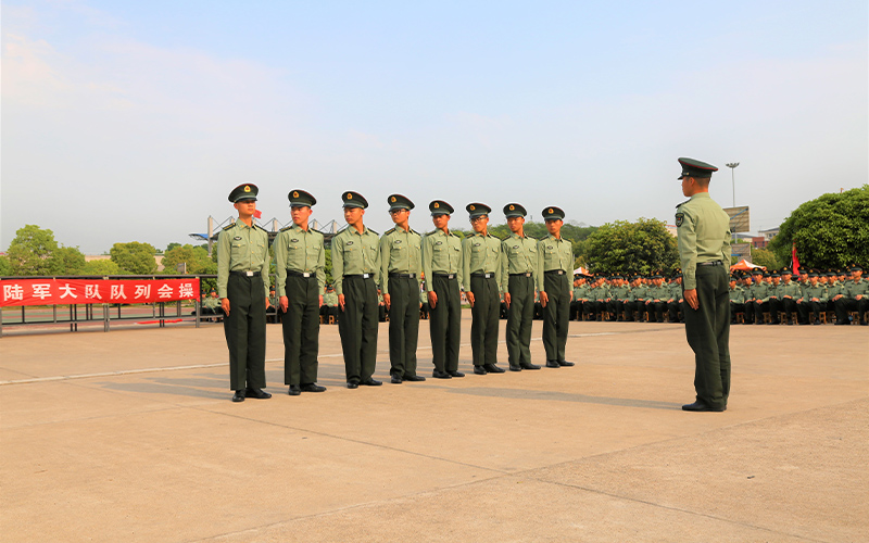 2024考生参考：2023武昌职业学院软件技术专业在浙江招生录取分数及录取位次