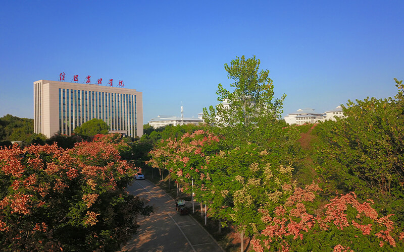 ★信阳农林学院2022河北招生计划_信阳农林学院2022河北招生专业及招生人数汇总