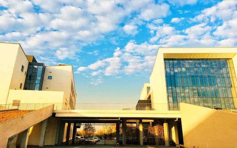 2024考生参考：2023安徽艺术学院新闻学专业在山东招生录取分数及录取位次