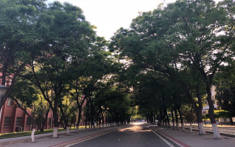 2024考生参考：2023北京经济管理职业学院电气自动化技术专业在河北招生录取分数及录取位次