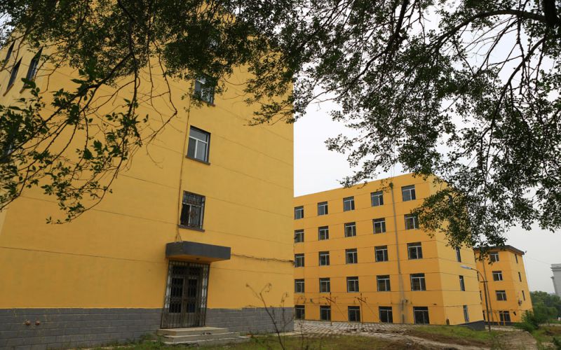 2024考生参考：2023黑龙江护理高等专科学校口腔医学专业在重庆招生录取分数及录取位次
