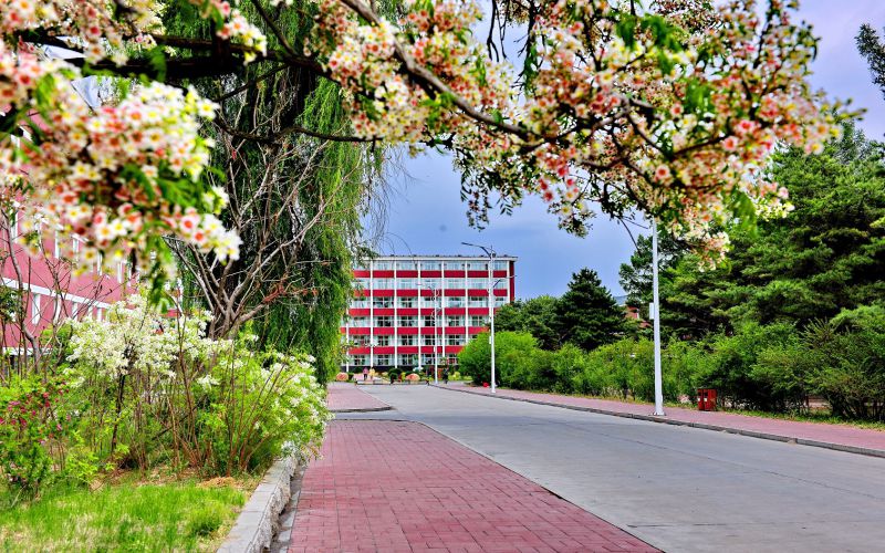 2023年吉林职业技术学院在辽宁录取批次及录取分数参考