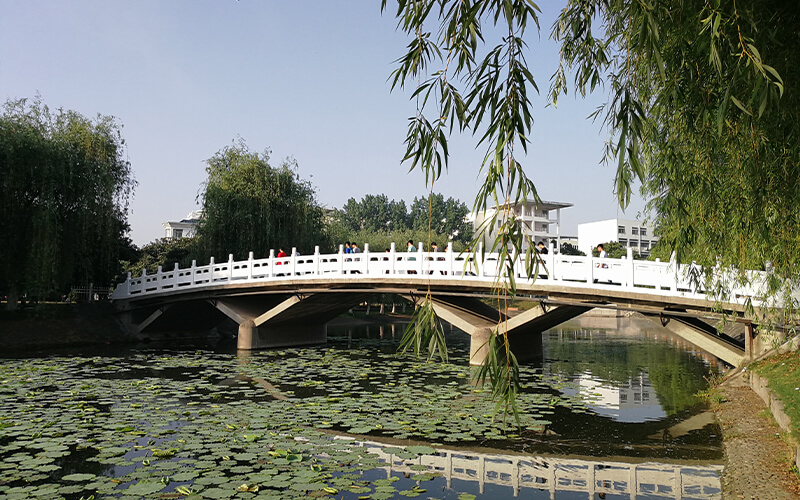 南阳理工学院道路桥梁与渡河工程专业在河南招生录取分数(理科)：495分