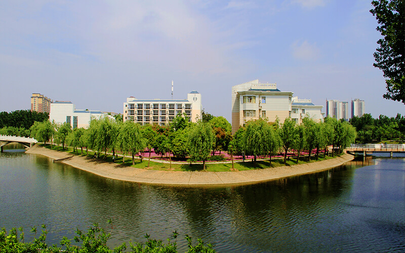 南阳理工学院生物工程（中外合作办学）专业在辽宁招生录取分数(物理类)：437分