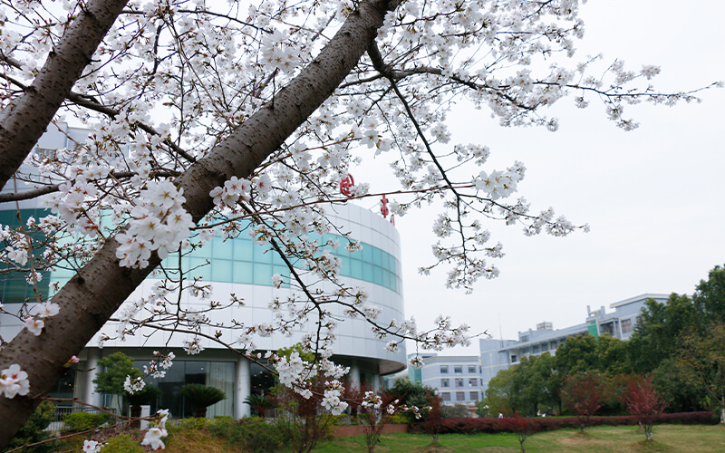 2022武汉工程大学招生专业｜武汉工程大学在海南招生专业及选科要求汇总2022