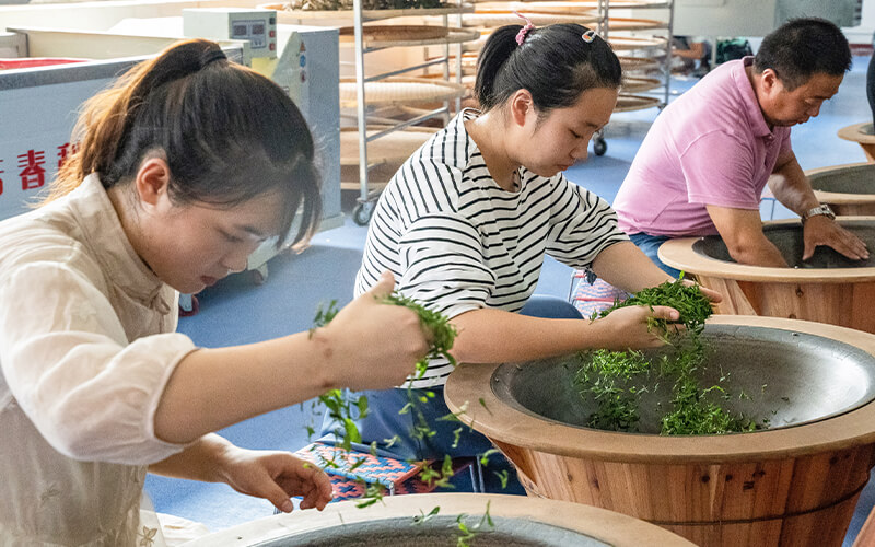 2023年湖北生态工程职业技术学校在河南招生专业及招生人数汇总