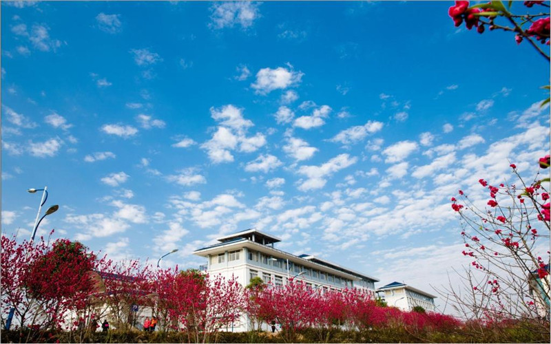 【2023高考参考】广西幼儿师范高等专科学校2022年四川招生专业及招生计划一览表