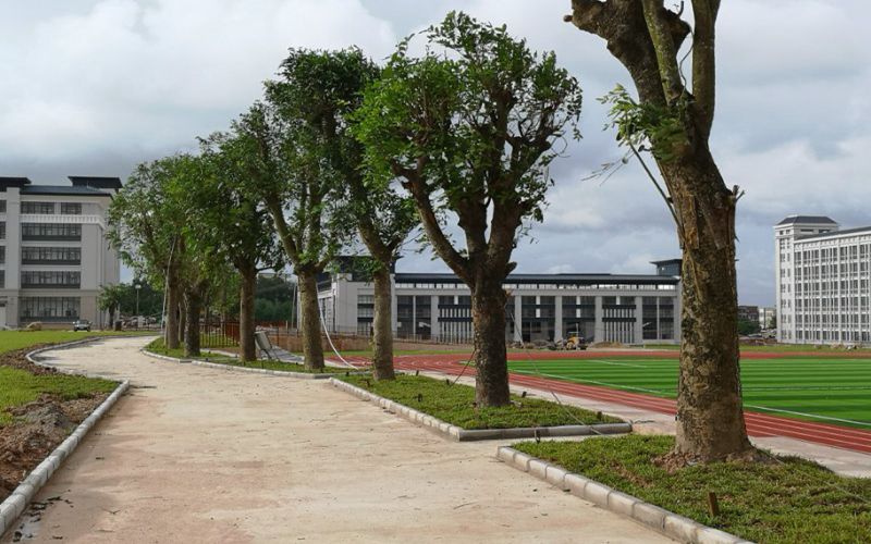 2023年广东茂名农林科技职业学院在新疆招生专业有哪些？学费是多少？