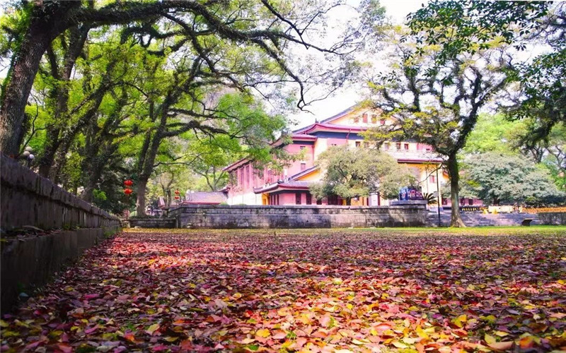 2024考生参考：2023广西师范大学数据科学与大数据技术专业在重庆招生录取分数及录取位次