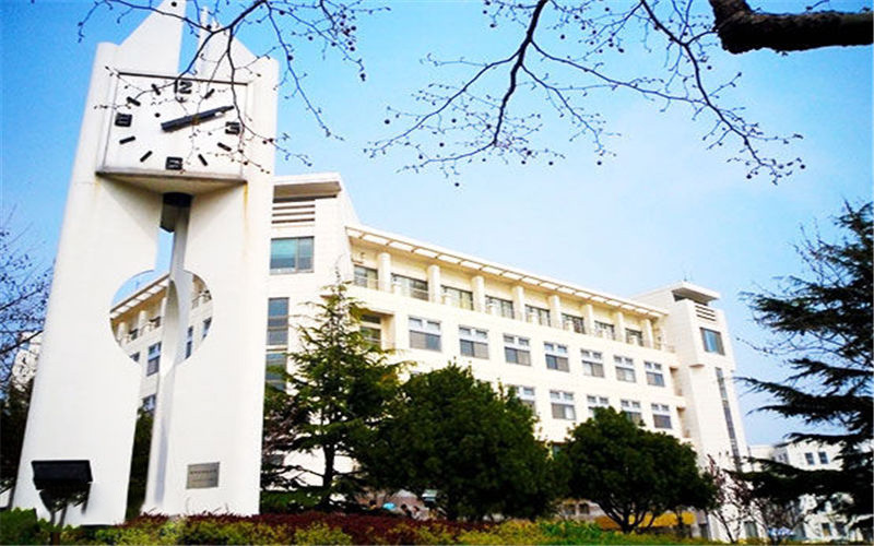 青岛大学物流管理专业在山东招生录取分数(综合)：552分