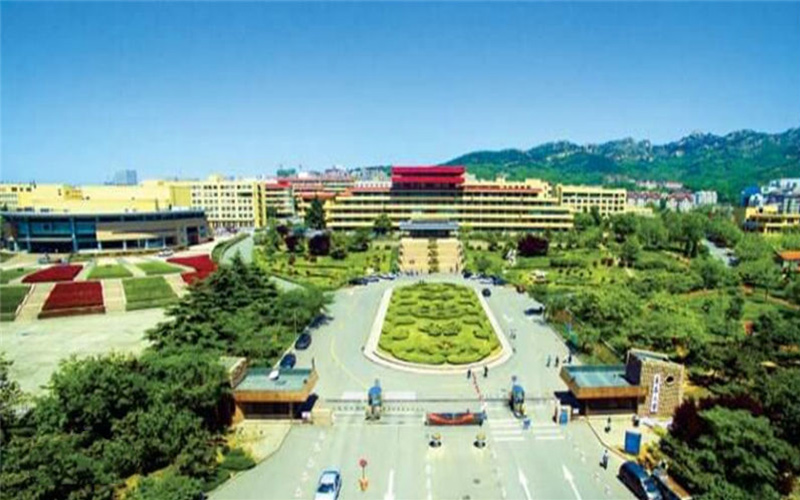 2023年内蒙古考生多少分可以上青岛大学信息管理与信息系统专业？