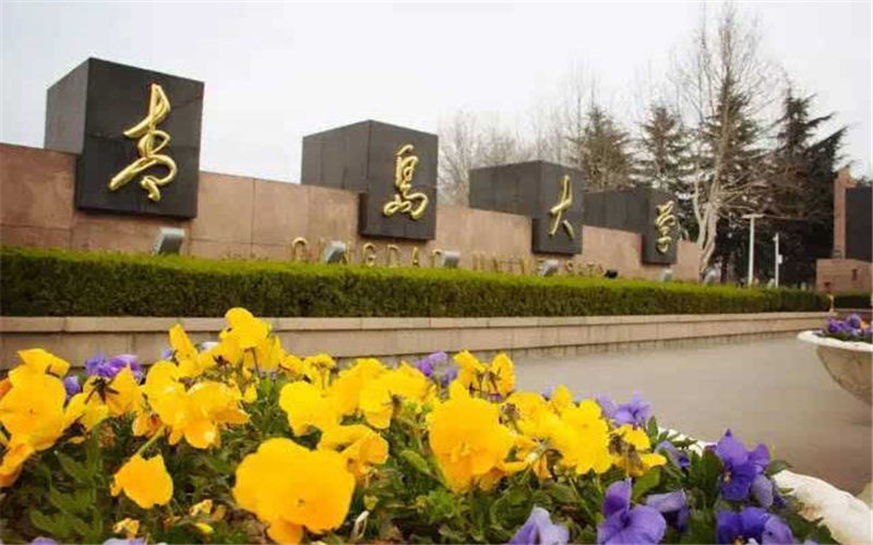 青岛大学新能源科学与工程专业在河北招生录取分数(物理类)：573分