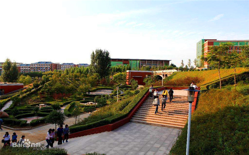 2023年淄博师范高等专科学校在内蒙古招生专业及招生人数汇总