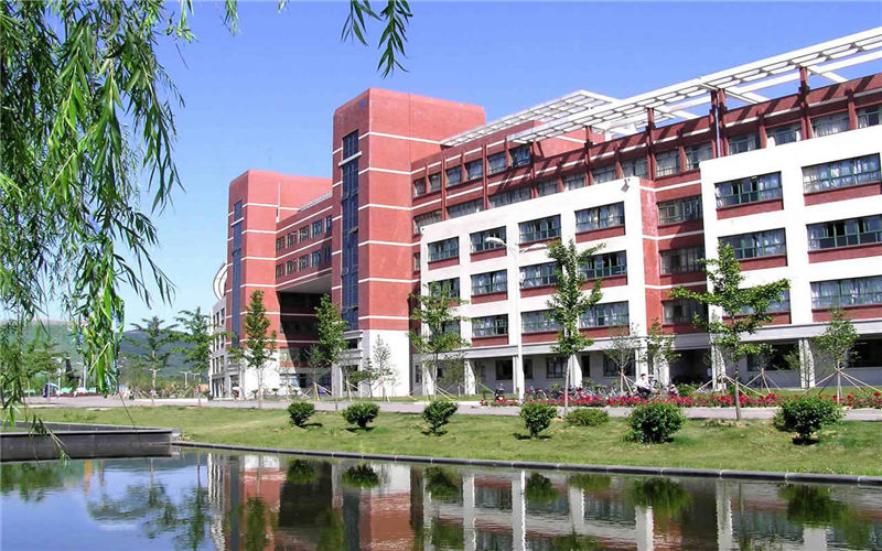 2023年山东科技大学在上海招生专业及招生人数汇总