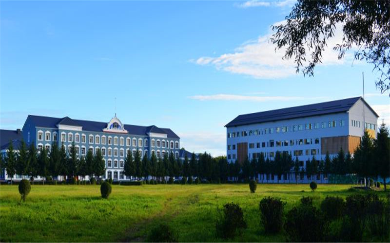 伊春职业学院在内蒙古各专业录取分数一览表(含2021-2020历年)
