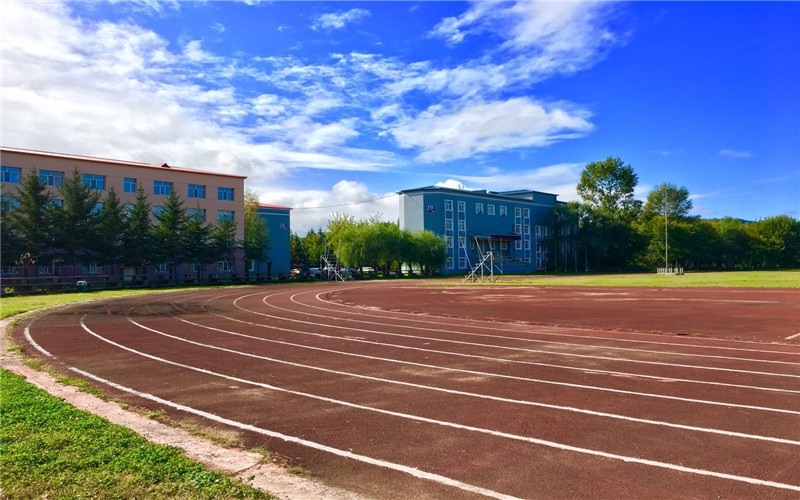 ★伊春职业学院2022四川招生计划_伊春职业学院2022四川招生专业及招生人数汇总