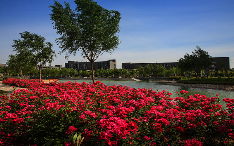 2023年安阳职业技术学院在黑龙江招生专业及招生人数汇总