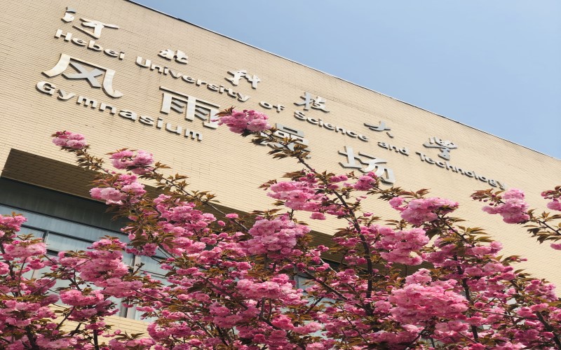 河北科技大学安全工程专业录取分数线【山东高考综合】