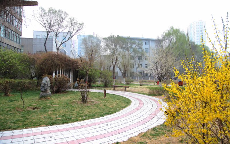 2023年青海卫生职业技术学院在黑龙江录取批次及录取分数参考