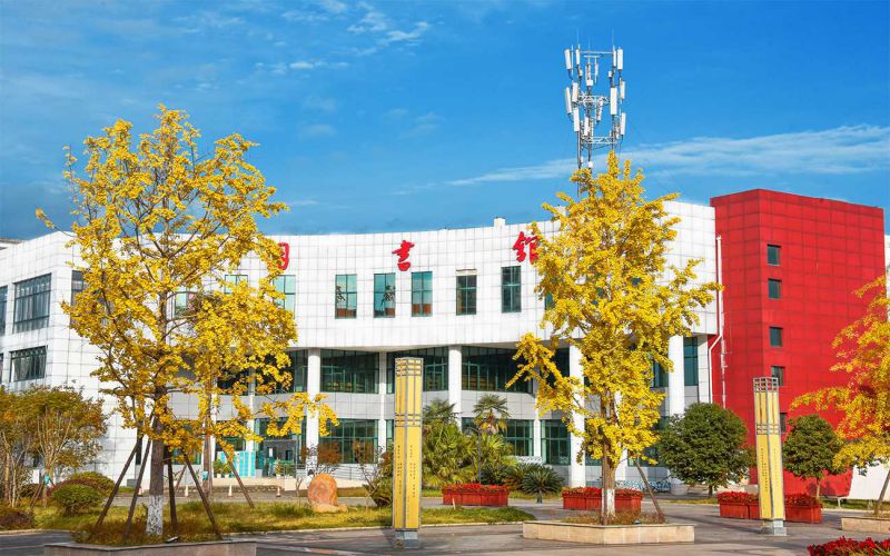 四川幼儿师范高等专科学校小学教育专业（一 ）录取分数线【四川高考文科】