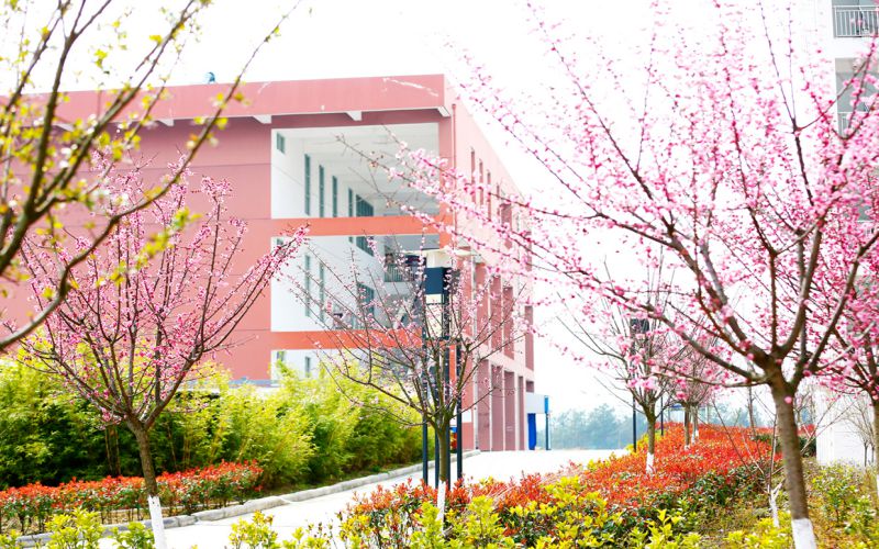 四川幼儿师范高等专科学校学前教育专业录取分数线【四川高考理科】