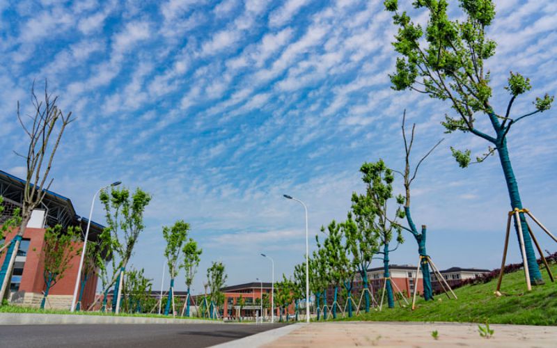 2023年永州师范高等专科学校在湖南招生专业及招生人数汇总