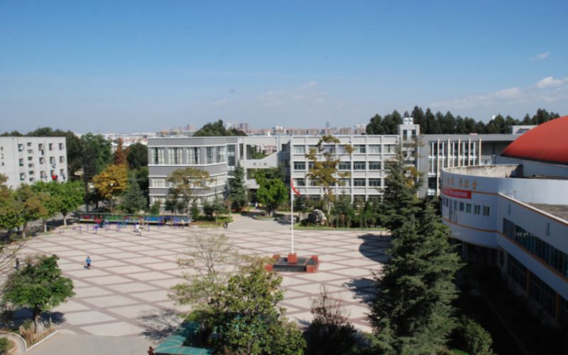 云南体育运动职业技术学院休闲服务与管理专业录取分数线【云南高考文科】