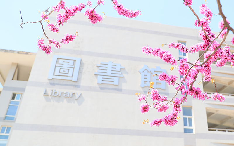 2024年徐州工业职业技术学院物联网应用技术专业在河北录取分数线参考