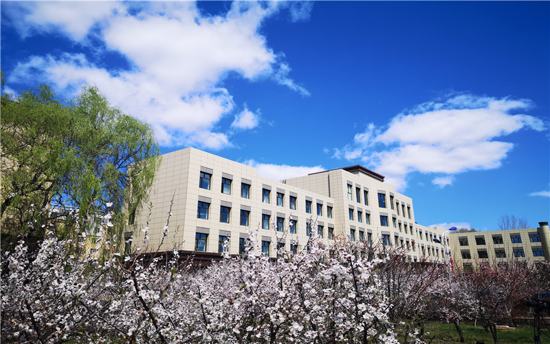 2023年重庆考生多少分可以上黑龙江幼儿师范高等专科学校学前教育专业？
