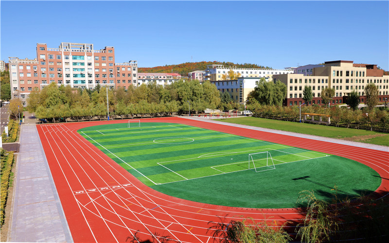 2023年黑龙江幼儿师范高等专科学校在内蒙古招生专业及招生人数汇总(2024考生参考)