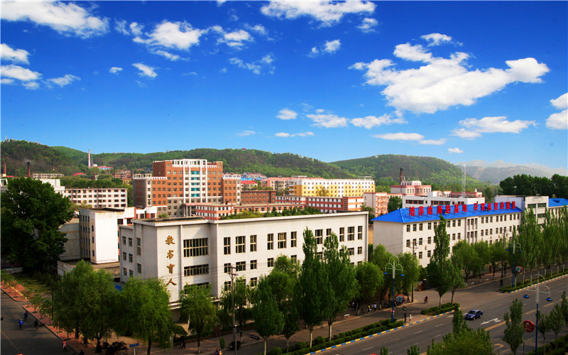 内蒙古文科考生排多少名可以上黑龙江幼儿师范高等专科学校特殊教育（师范类）专业?