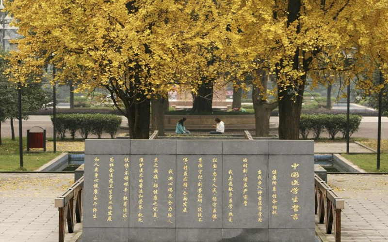 2023年山东考生多少分可以上重庆医科大学法医学专业？