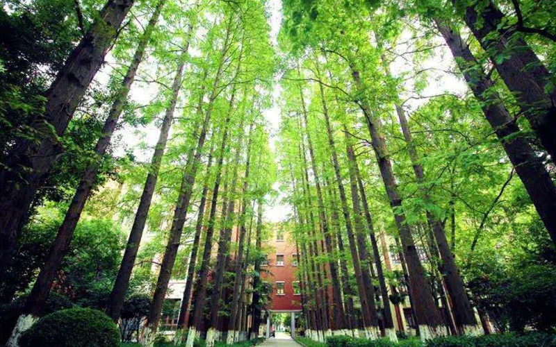【2023高考参考】东华大学2022年安徽招生专业及招生计划一览表