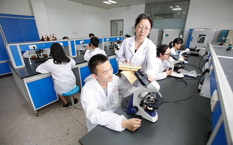 2023年武汉职业技术学院在河北招生专业及招生人数汇总