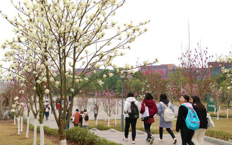 多少分可以上长江师范学院？长江师范学院2022年在江西各招生专业录取分数汇总