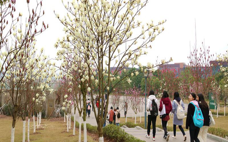 2024考生参考：2023长江师范学院电子信息类专业在河北招生录取分数及录取位次