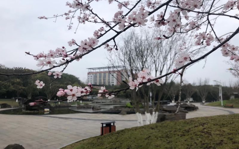 2023年长江师范学院在甘肃录取批次及录取分数参考