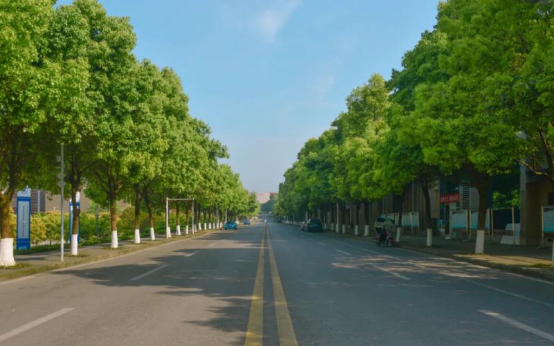 2023年长江师范学院在宁夏录取批次及录取分数参考