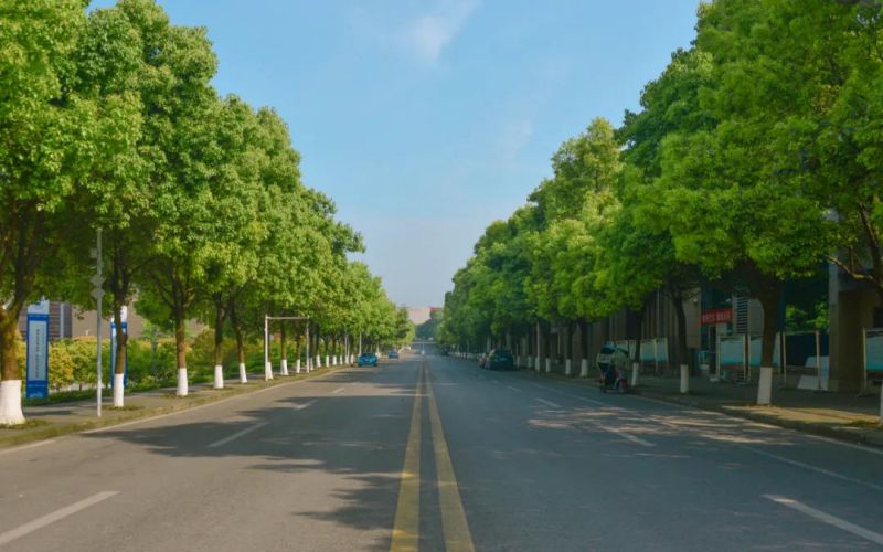 长江师范学院土木工程（中外合作办学）专业在重庆招生录取分数(物理类)：454分
