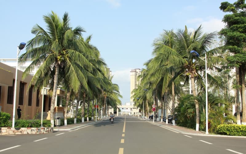 海南政法职业学院法律文秘（书记官方向）专业在海南招生录取分数(综合)：455分