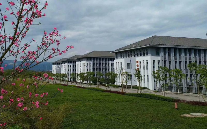 重庆历史类考生排多少名可以上重庆化工职业学院分析检验技术专业?