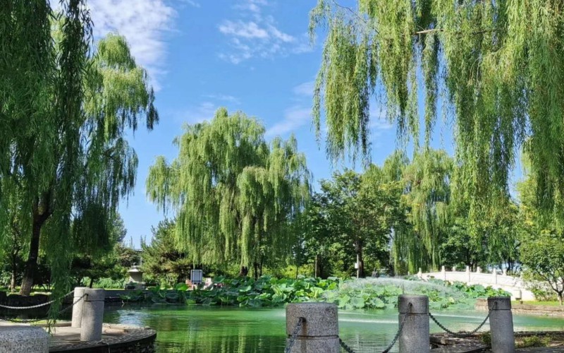 【2024河北历史类参考】2023年北京交通职业技术学院各专业在河北招生分数线汇总