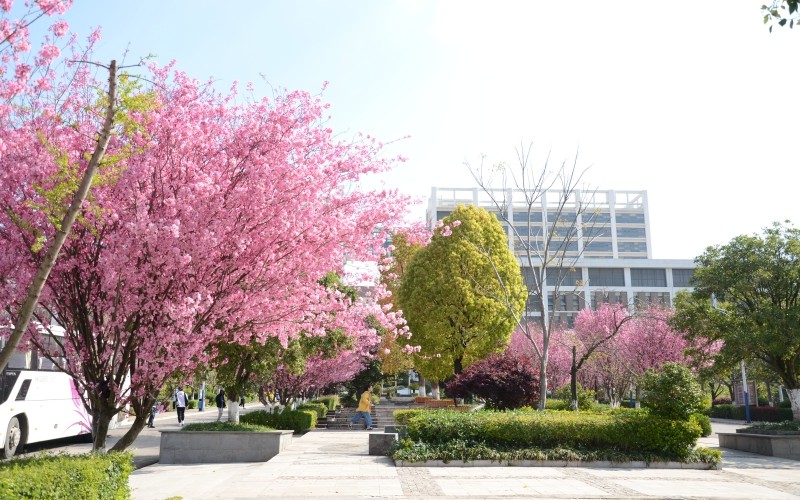 【2023高考参考】云南工程职业学院2022年湖南招生专业及招生计划一览表