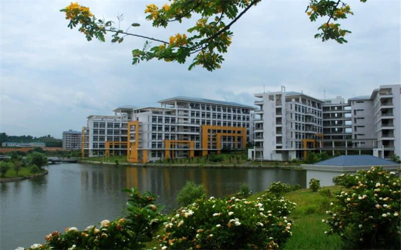 2024考生参考：2023广东医科大学医学影像学专业在山东招生录取分数及录取位次