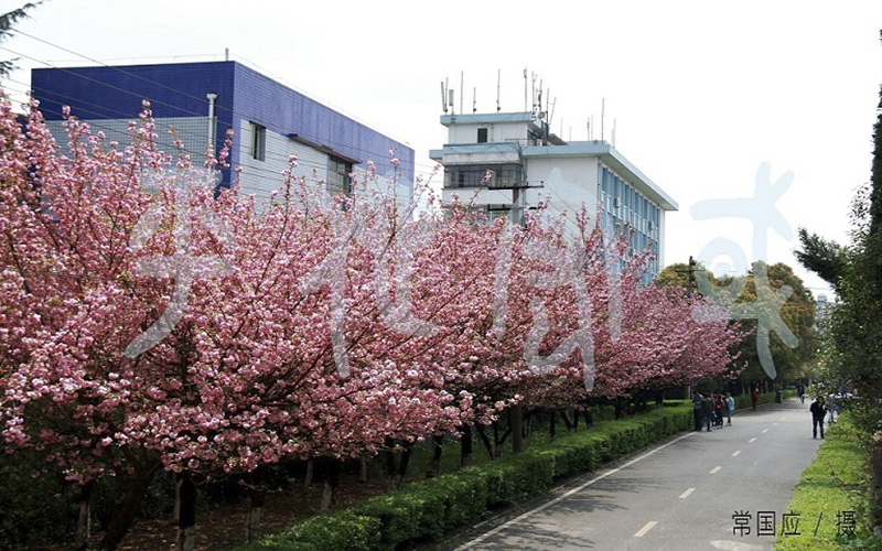 2023年贵州民族大学在河北录取批次及录取分数参考