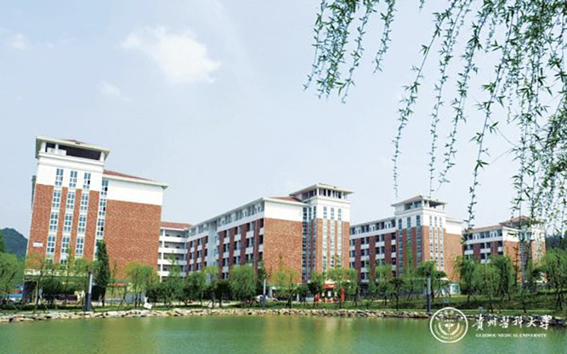 2023年贵州医科大学在湖北录取批次及录取分数参考