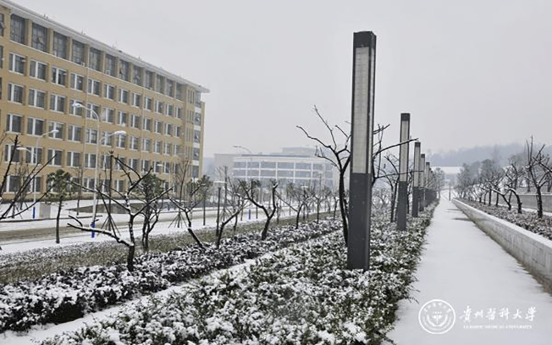 贵州医科大学卫生检验与检疫专业录取分数线【天津高考综合】